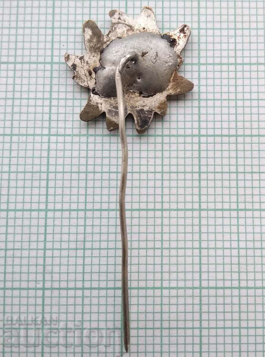 Доставка на 15804 Дружество Алеко София Черни връх БТС - емайл Доставка на 15804 Дружество Алеко София Черни връх БТС - емайл