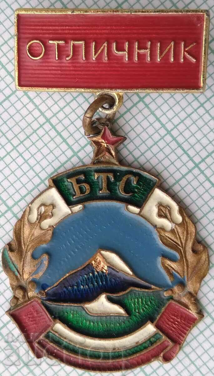 15805 Badge - Excellent BTS
