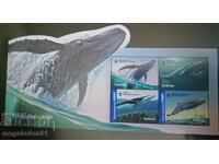 Австралия - WWF, гърбат кит