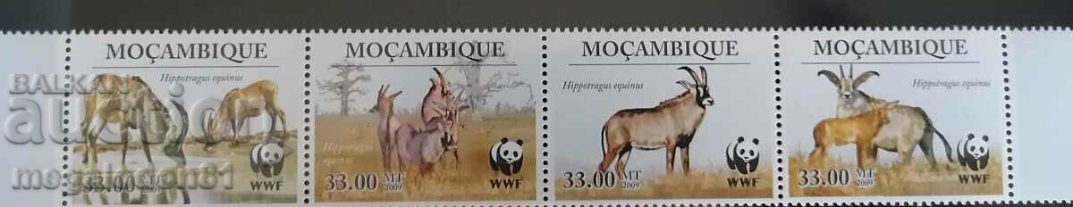 Mozambic - fauna WWF, antilope