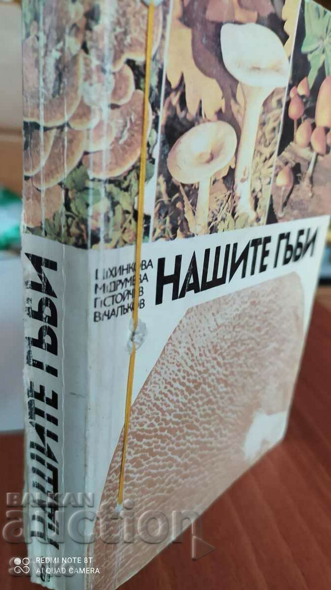 Our mushrooms, many photos - Off. 1 with price 4.99 BGN | € 2.55 Our mushrooms, many photos - Off. 1 with price 4.99 BGN | € 2.55