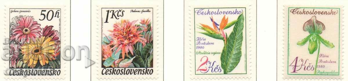 1980. Чехословакия. Изложби на цветя в Оломуц и Братислава.