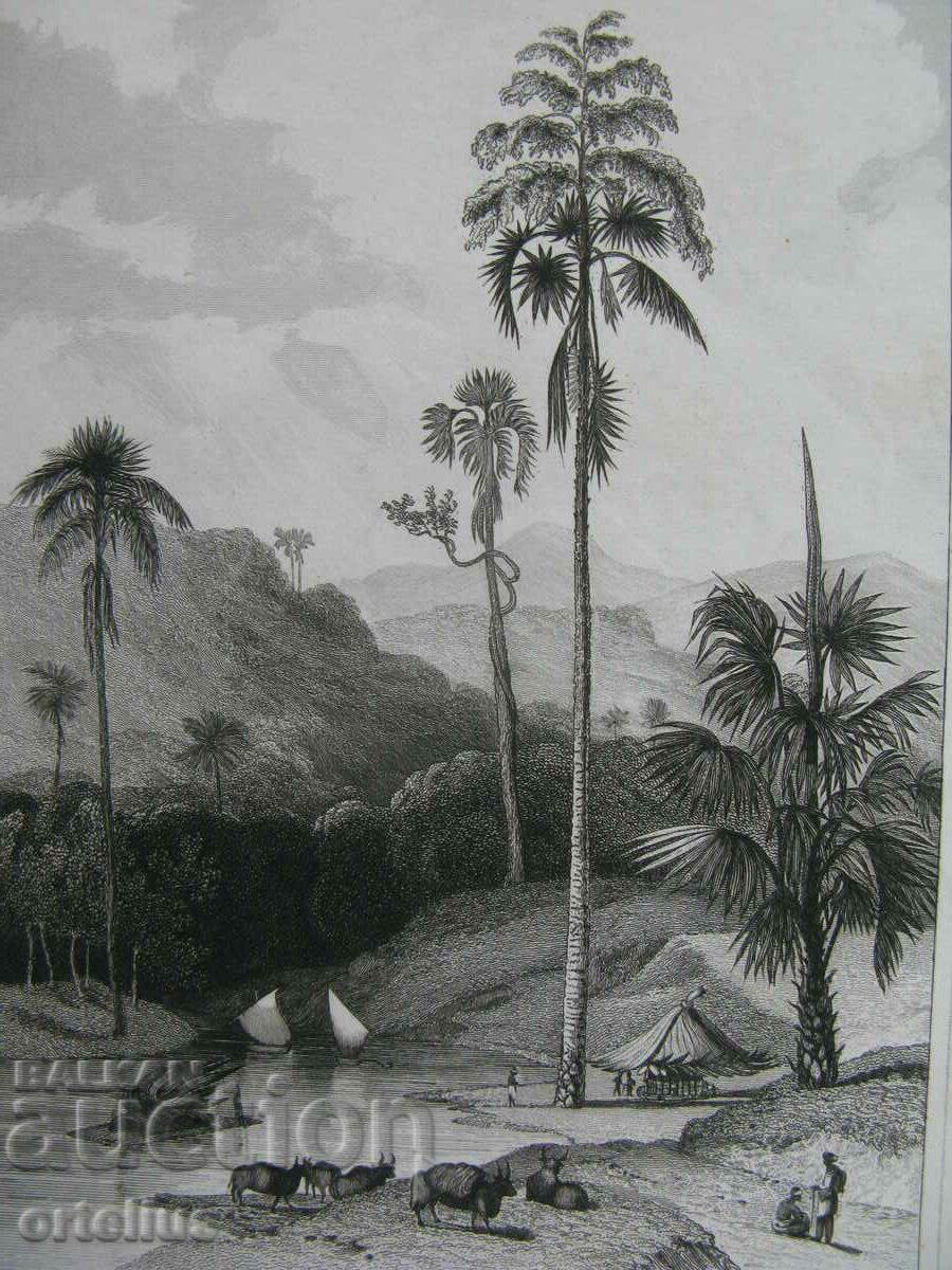 gravură veche secolul al XIX-lea Asia Ceylon ORIGINAL