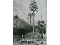 old engraving 19th century Asia Ceylon ORIGINAL