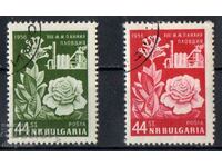 1956. Βουλγαρία. Έκθεση Plovdiv.
