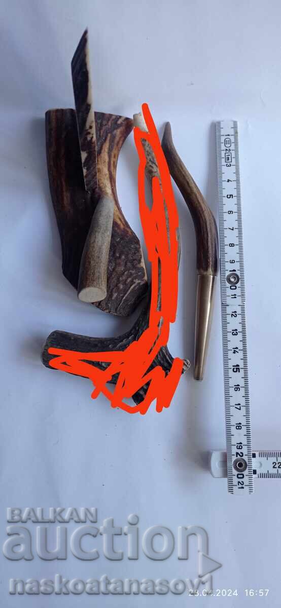 Delivery of Roe deer antlers Delivery of Roe deer antlers