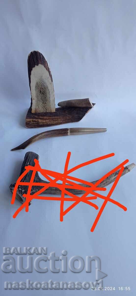 Roe deer antlers - 5 Roe deer antlers - 5