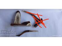 Roe deer antlers