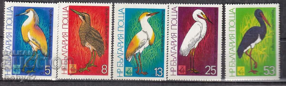 BK 3036-3040 Păsări de mlaștină