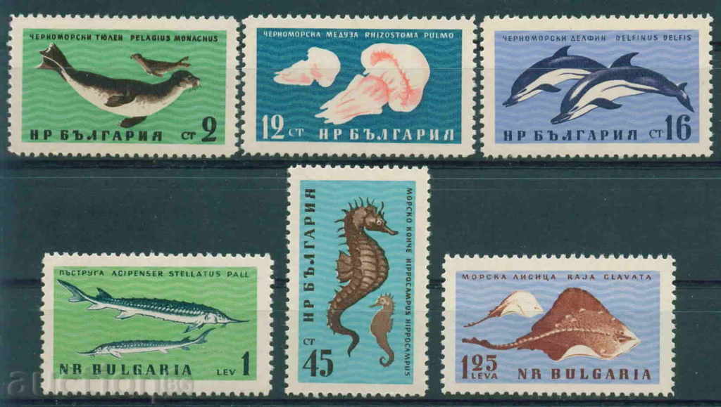 1292 Bulgaria 1961 Black Sea fauna **