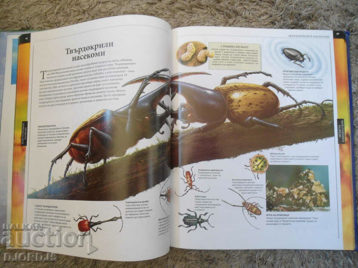 Delivery of ANIMALS, Volume 1, The Big Children's Encyclopedia Delivery of ANIMALS, Volume 1, The Big Children's Encyclopedia