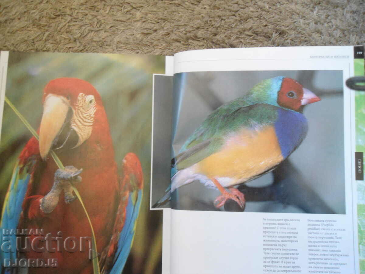 ANIMALS, Volume 1, The Big Children's Encyclopedia - 5 ANIMALS, Volume 1, The Big Children's Encyclopedia - 5