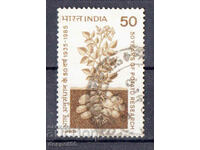 1985. Индия. 50 год. от изследването на картофите в Индия.