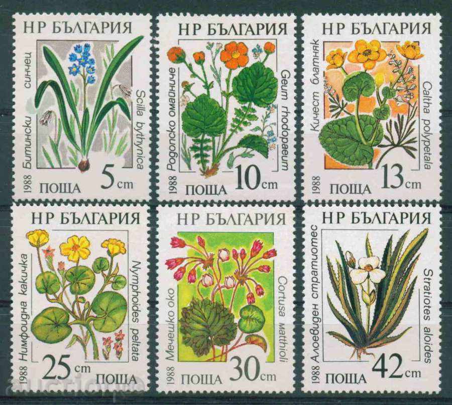 3650 Bulgaria 1988 - WATER FLOWERS **