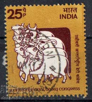 1974. Индия. 19-ти Международен "млечен" конгрес, Ню Делхи.