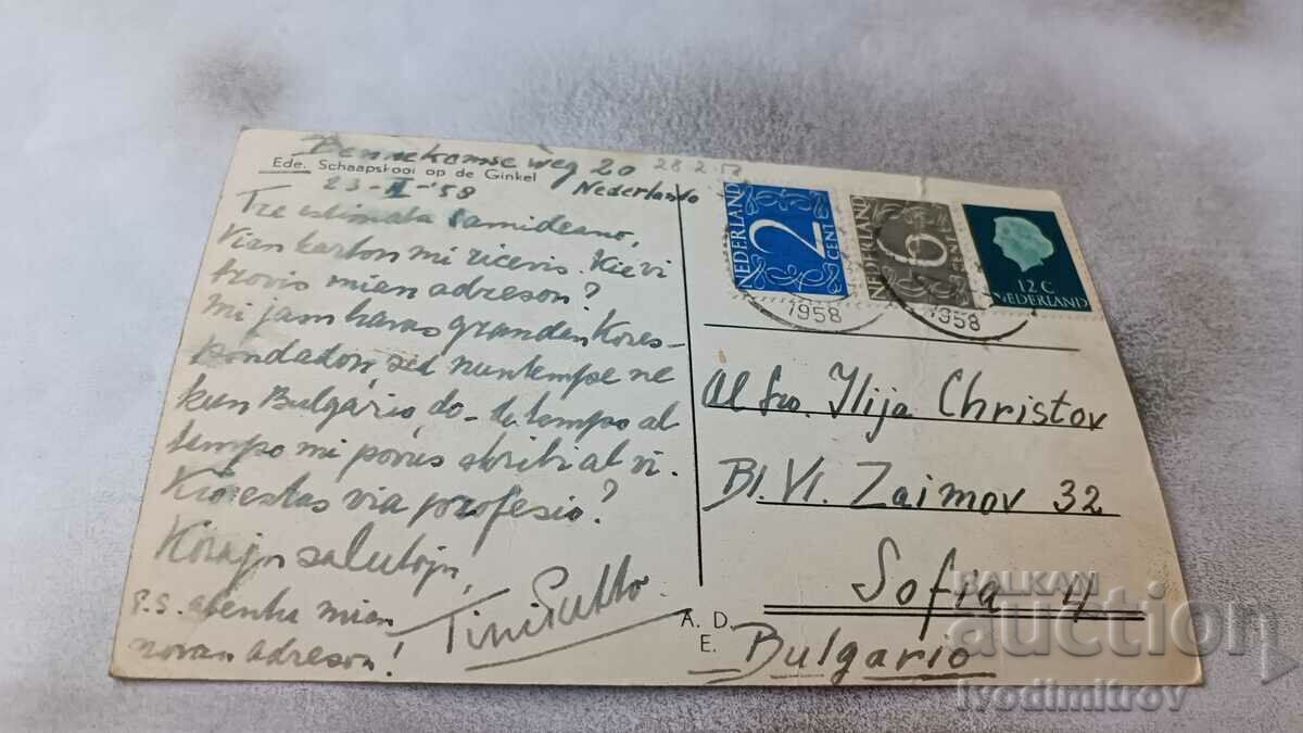 Postcard Ede Schaapskool op de Ginkel with price 1.45 BGN | € 0.74 Postcard Ede Schaapskool op de Ginkel with price 1.45 BGN | € 0.74