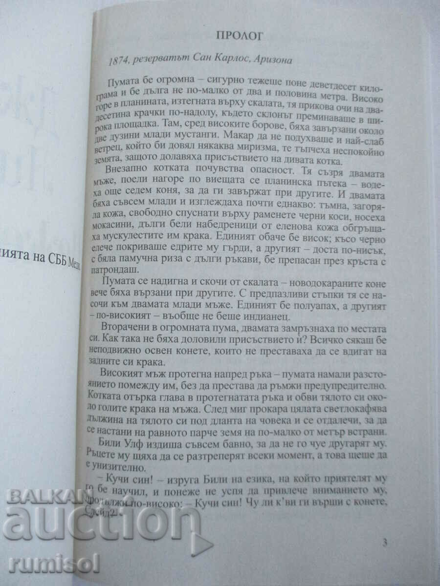 Auction  Gentle Whirlwind - Joanna Lindsay