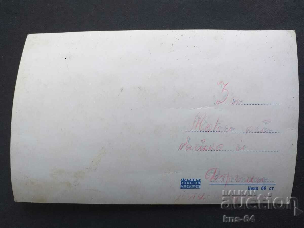 Kitten with price 0.90 BGN | € 0.46 Kitten with price 0.90 BGN | € 0.46