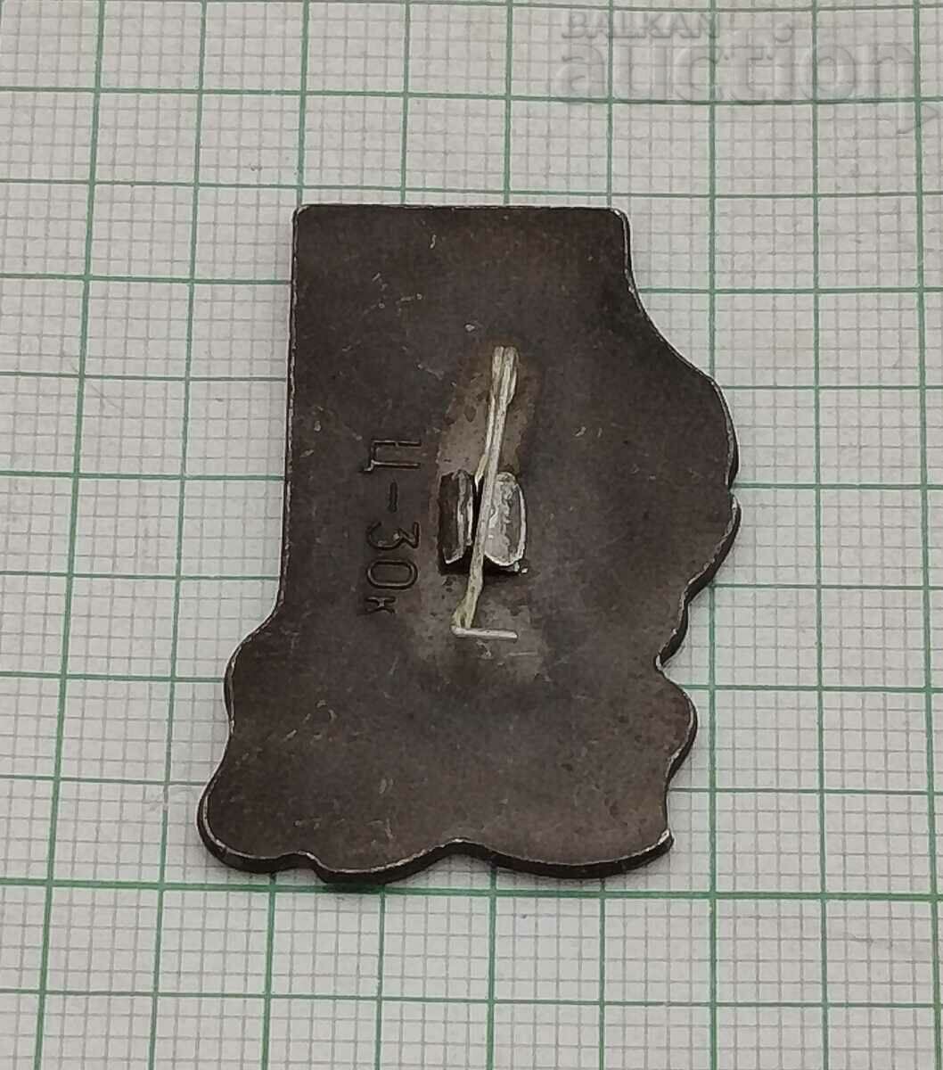 Licitație INSIGNA LENIN CULOARE VARIABILĂ