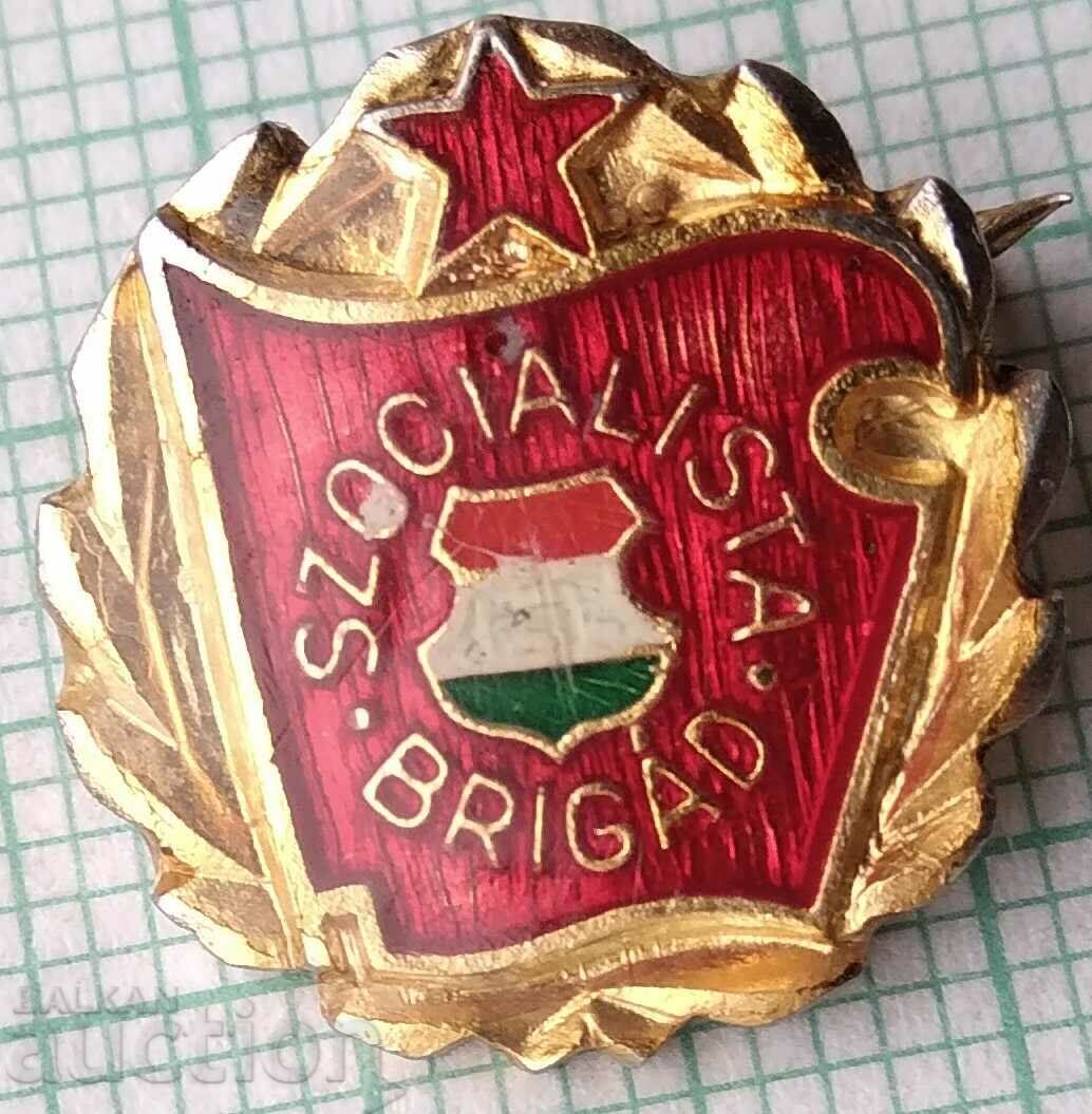 15813 Insigna - Brigada Socialistă - Ungaria