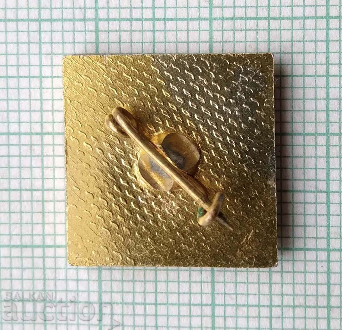 Auction 15816 Badge - CSMT Auction 15816 Badge - CSMT