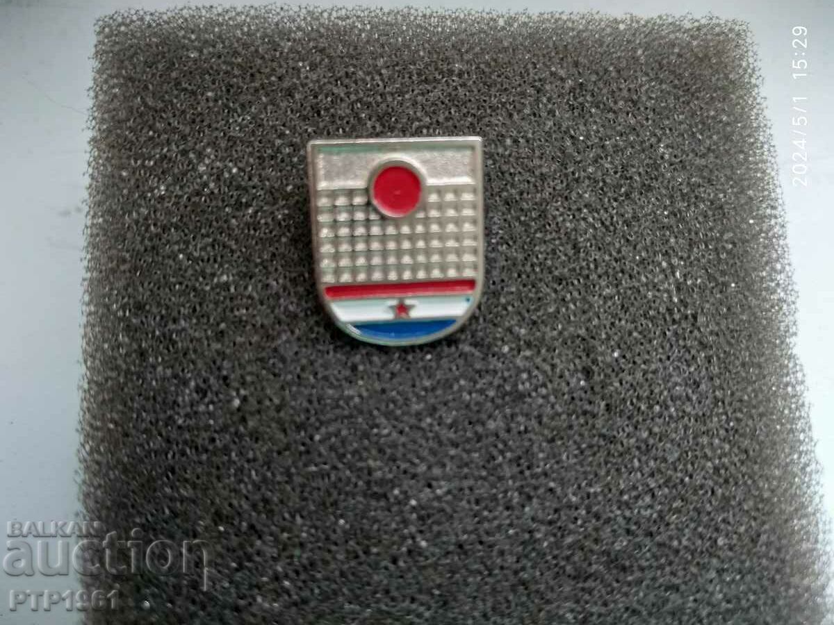 volleyball badge