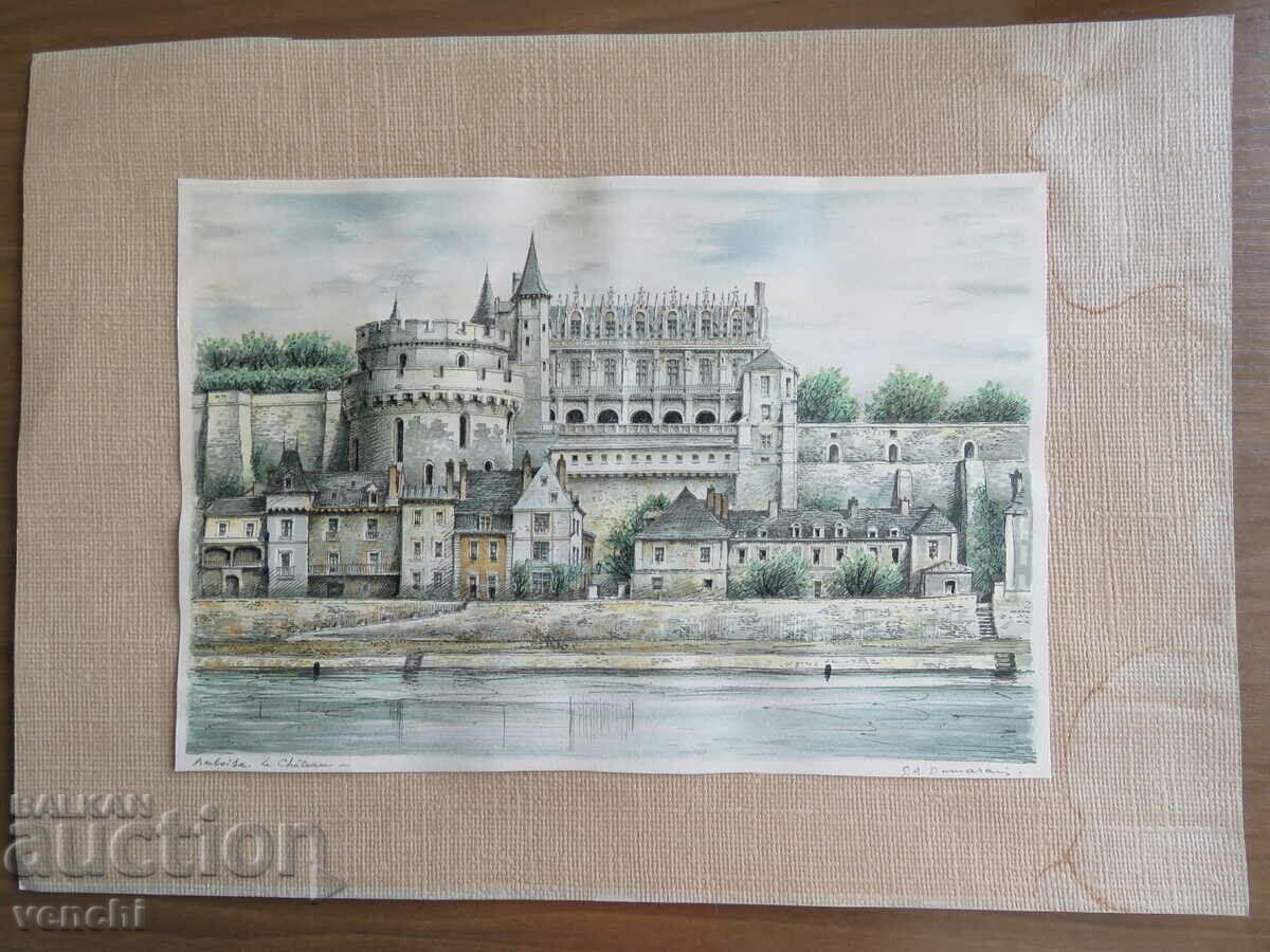 CASTELUL AMBOISE - FRANTA