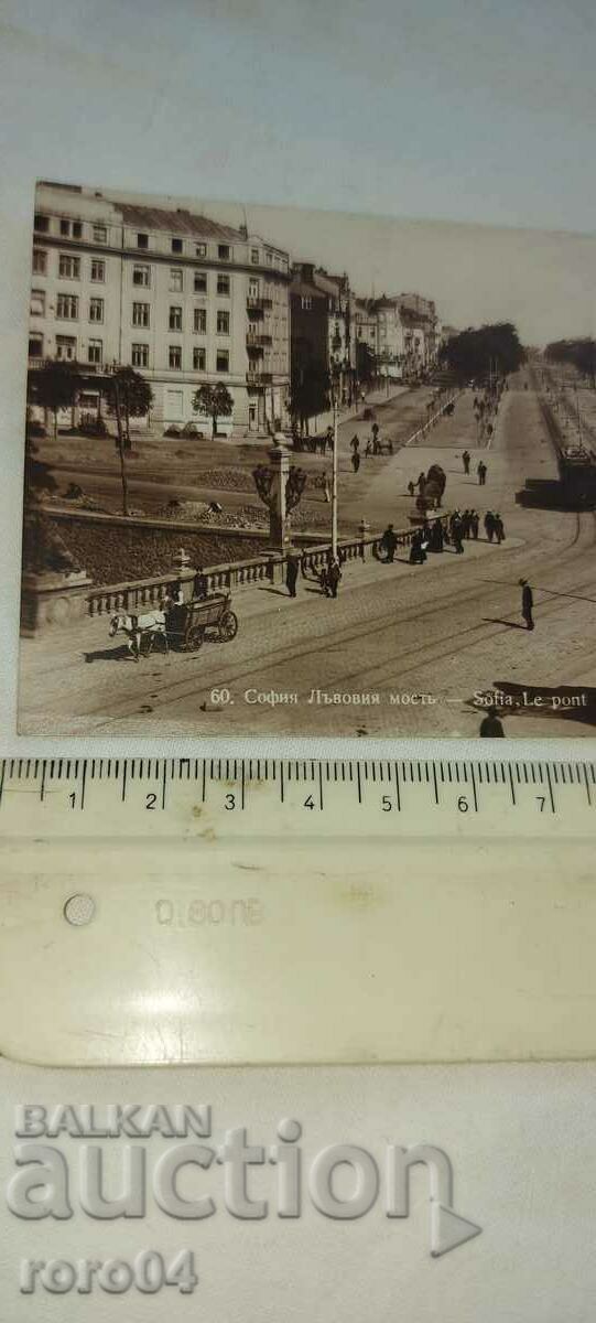 Auction  SOFIA - LION BRIDGE