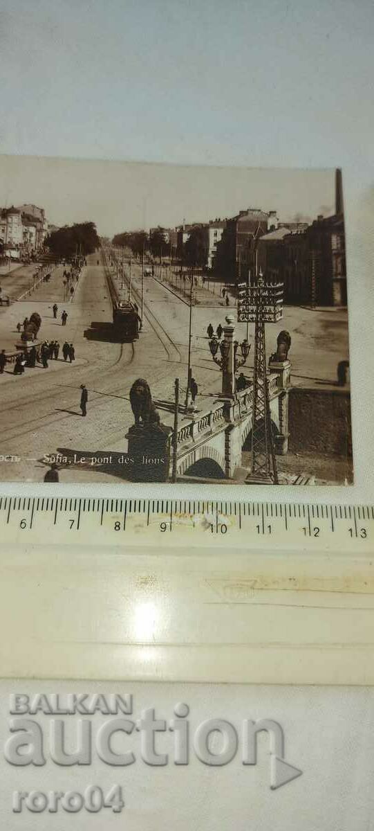 Delivery of SOFIA - LION BRIDGE
