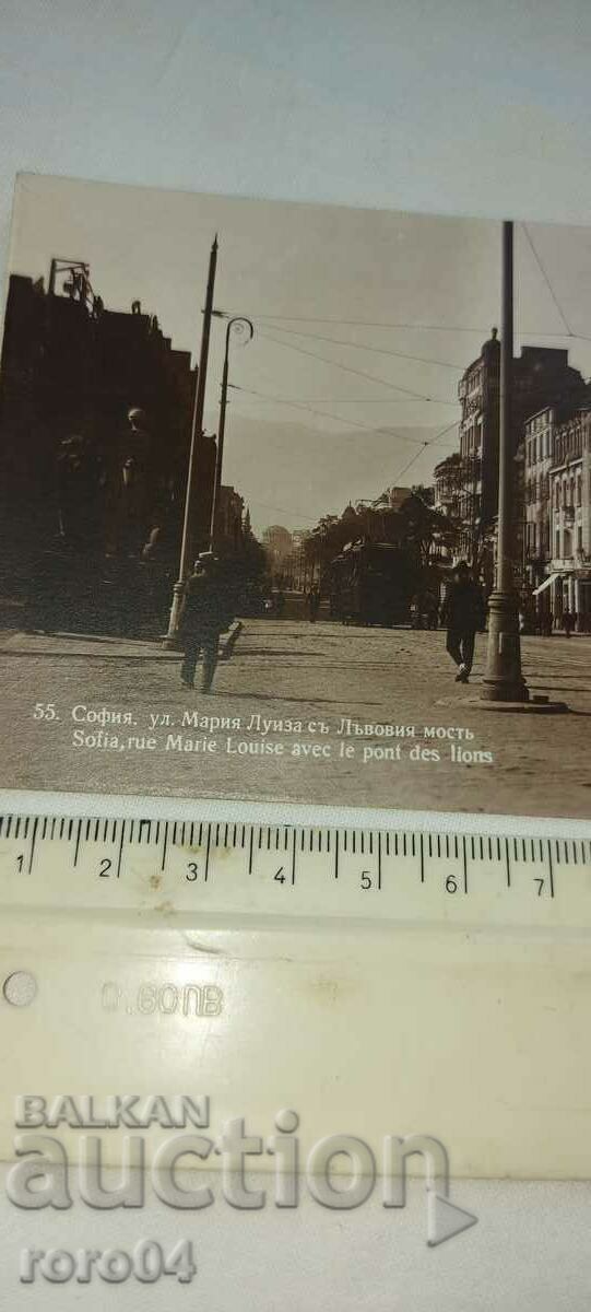 Auction  SOFIA - LION BRIDGE