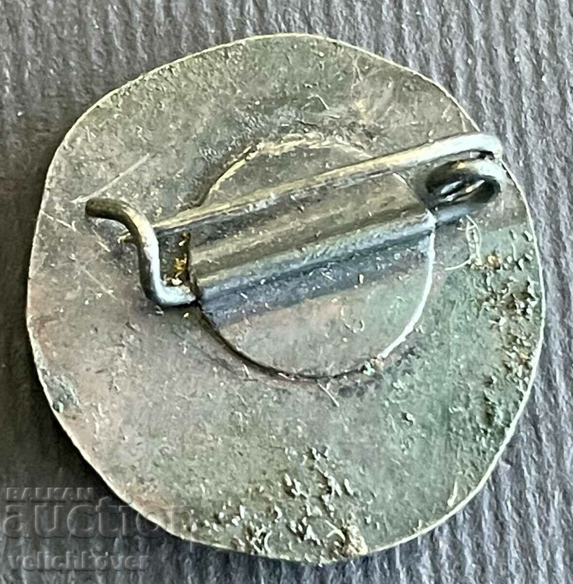 37141 Bulgaria sign Museum Druster Silistra with price 3.00 BGN | € 1.53 37141 Bulgaria sign Museum Druster Silistra with price 3.00 BGN | € 1.53