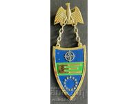 37149 European Union NATO Military Badge 1990s