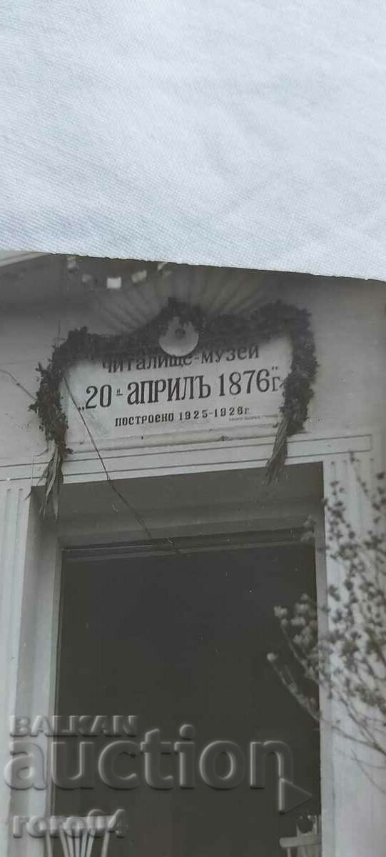 FLAG BEARER - CHERRY BALL - 5 FLAG BEARER - CHERRY BALL - 5