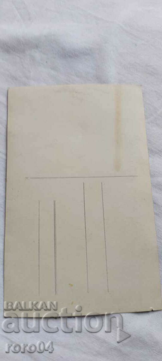 FLAG BEARER - CHERRY BALL - 7 FLAG BEARER - CHERRY BALL - 7