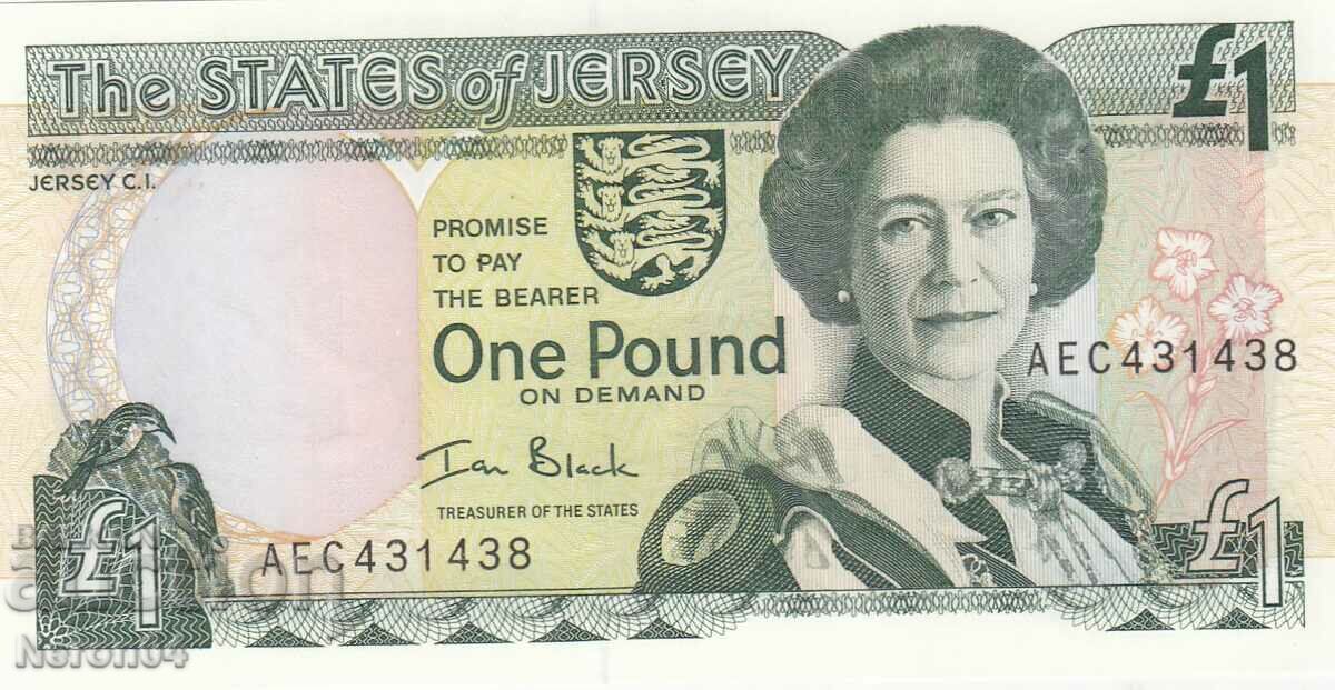 1 pound 2010, Jersey