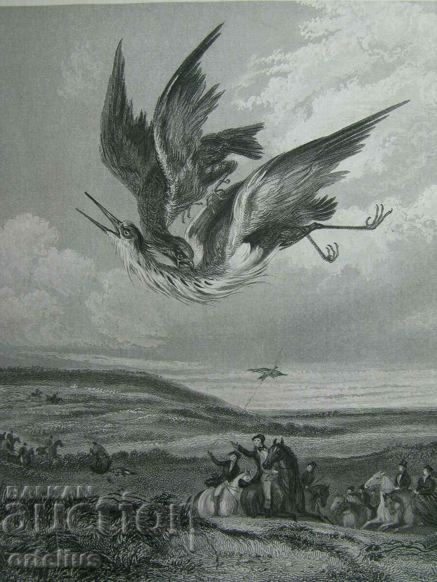 Gravura veche din secolul al XIX-lea Scena de vânătoare OPRIREA FATALĂ