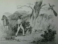 Gravura veche din secolul al XIX-lea scenă de vânătoare împuşcarea cu păuni