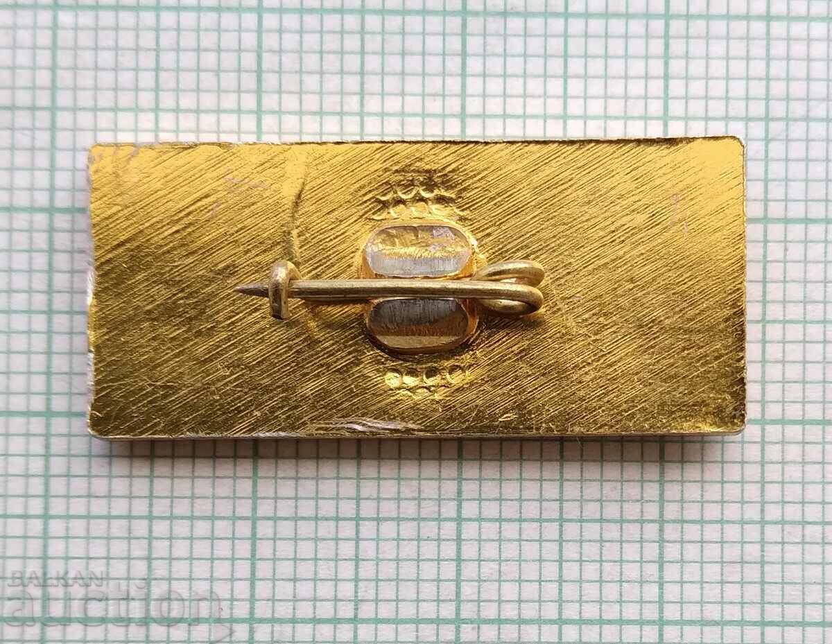 Auction 15866 Badge - TPK Leonid Brezhnev Auction 15866 Badge - TPK Leonid Brezhnev