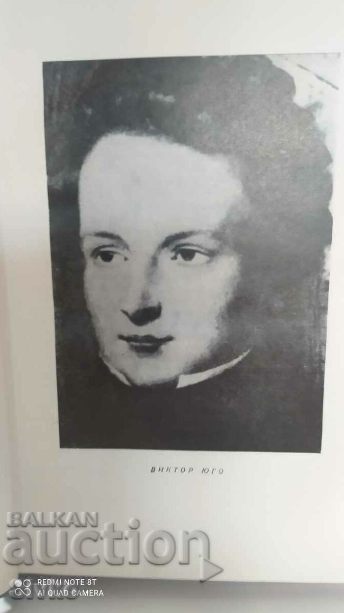 Maica Domnului din Paris, Victor Hugo - 5