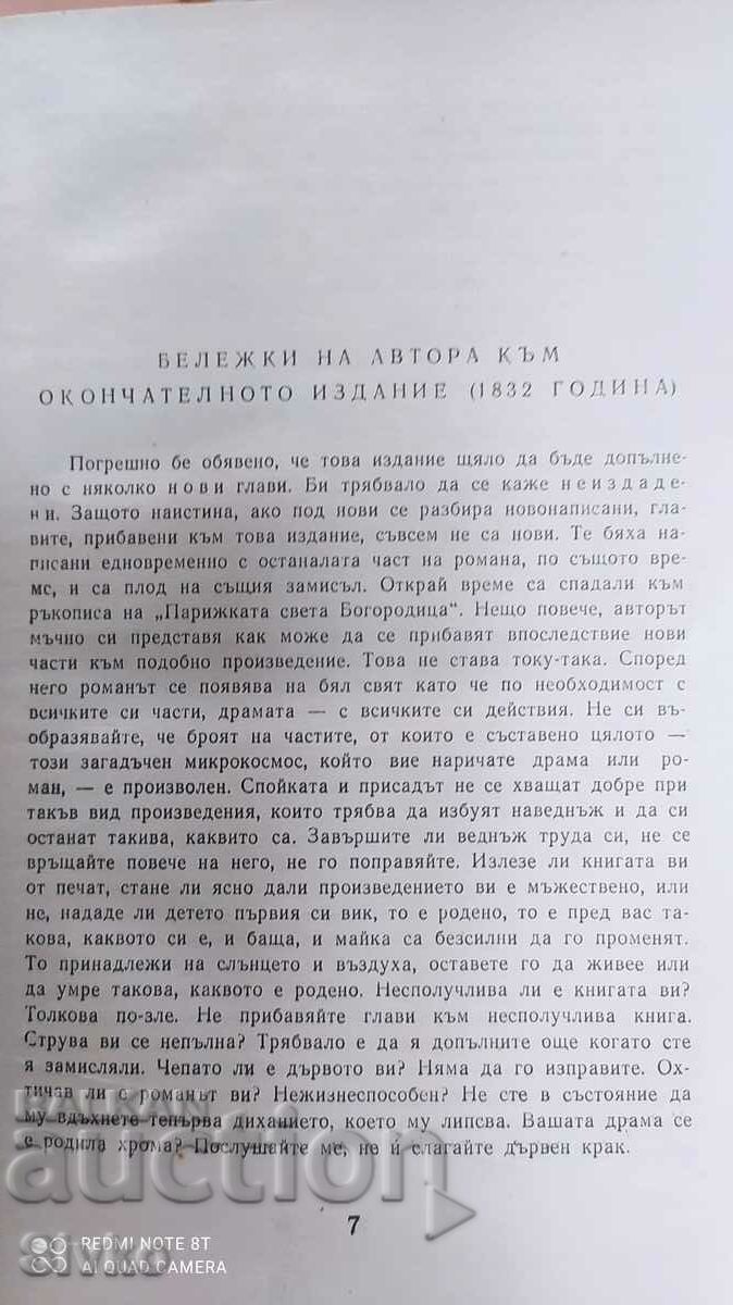 Maica Domnului din Paris, Victor Hugo - 7