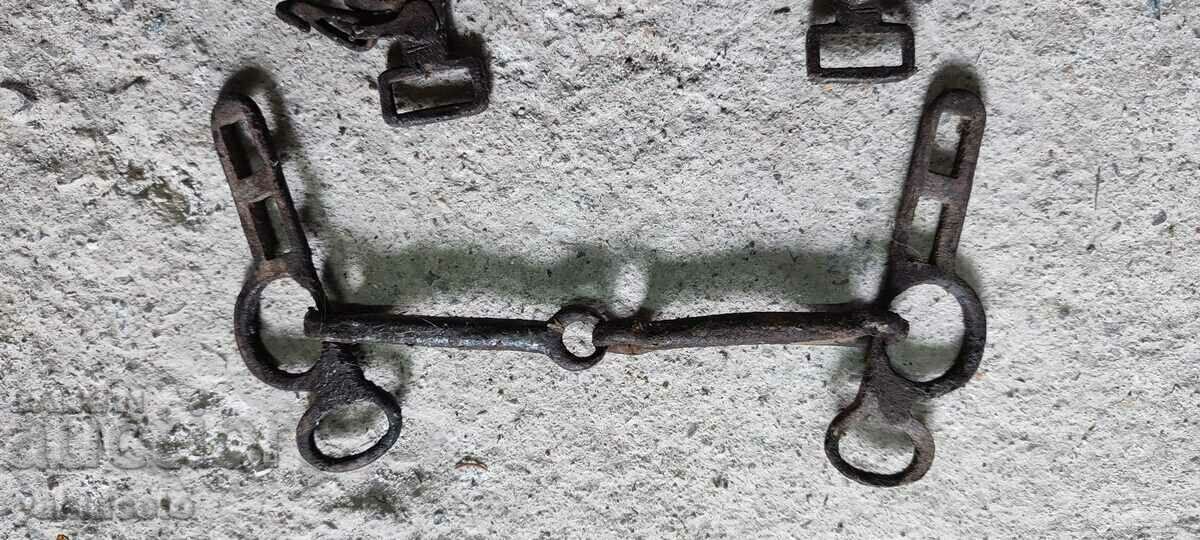 Delivery of Reins Delivery of Reins