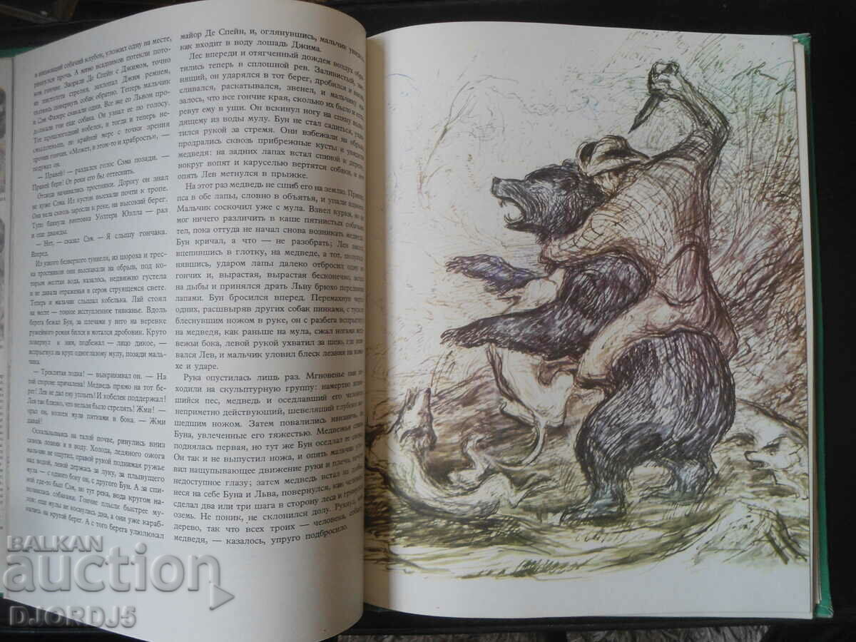 BEARS and other beasts of prey - 5 BEARS and other beasts of prey - 5