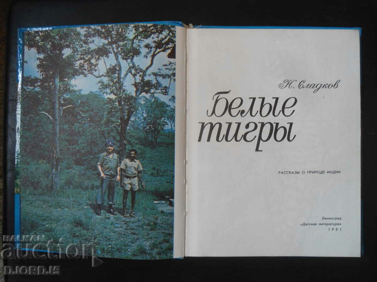 Tiger underwear with price 3.00 BGN | € 1.53 Tiger underwear with price 3.00 BGN | € 1.53