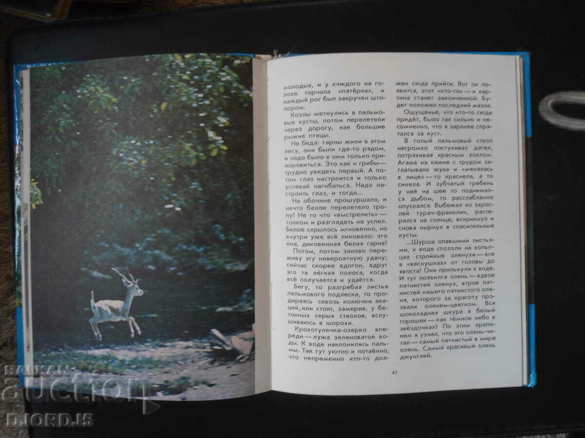 Delivery of Tiger underwear Delivery of Tiger underwear