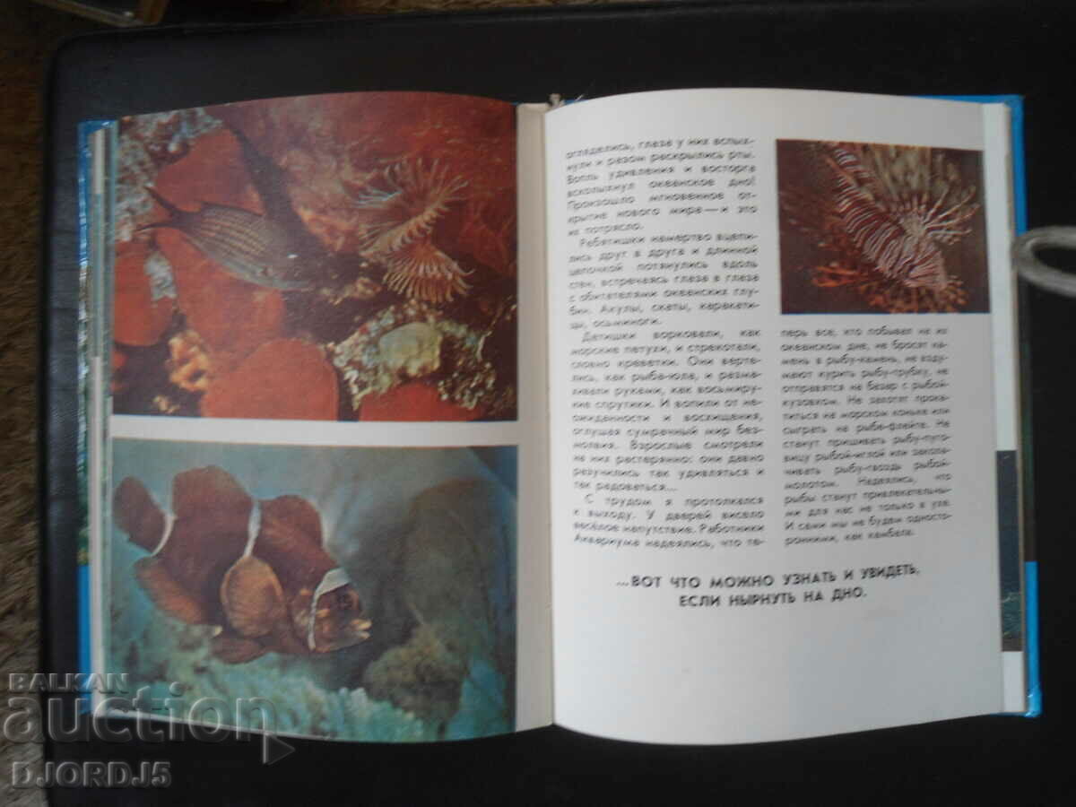 Tiger underwear - 5 Tiger underwear - 5