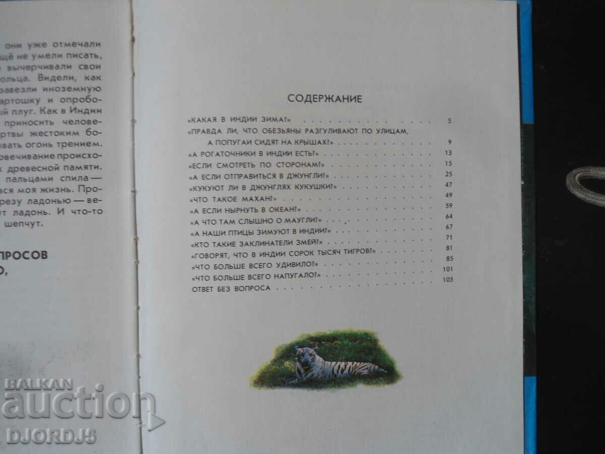 Tiger underwear - 6 Tiger underwear - 6