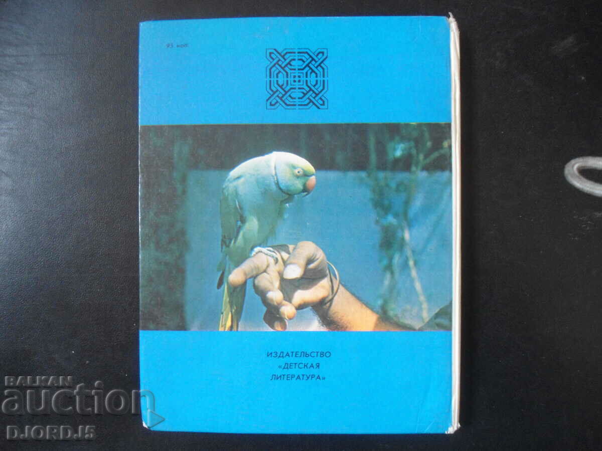 Tiger underwear - 7 Tiger underwear - 7