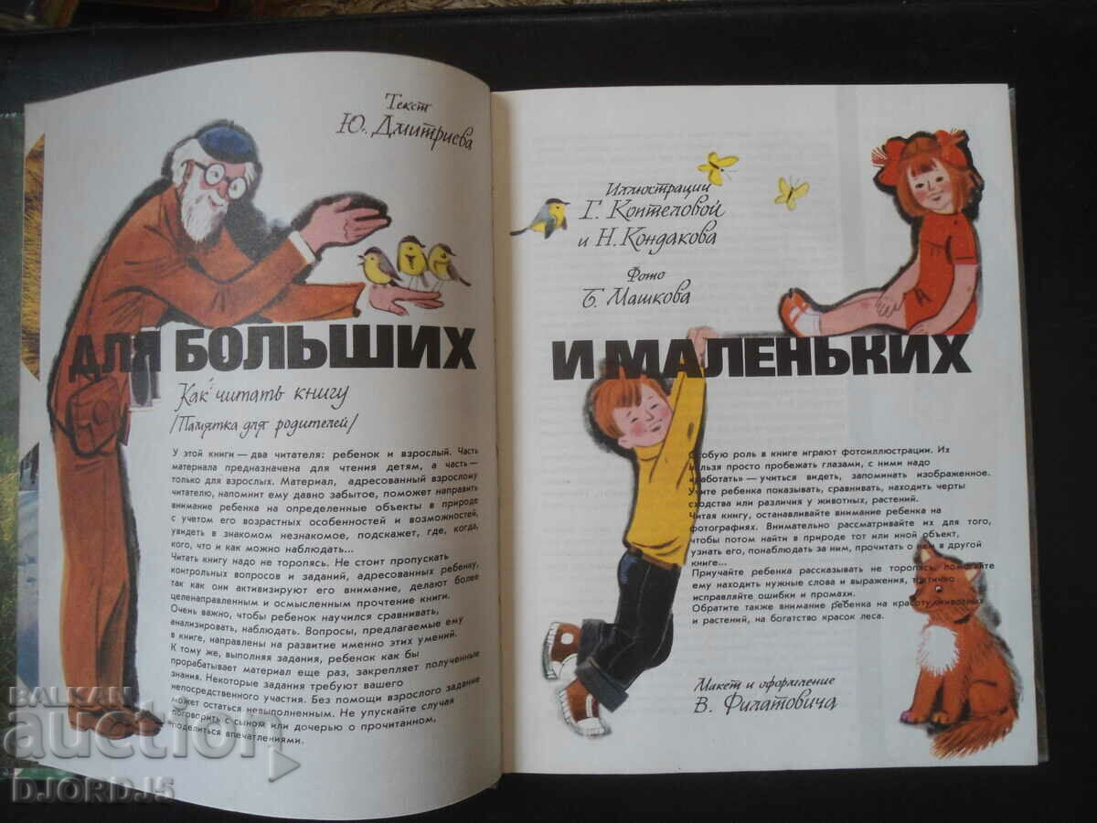 Auction About nature for big and small Auction About nature for big and small