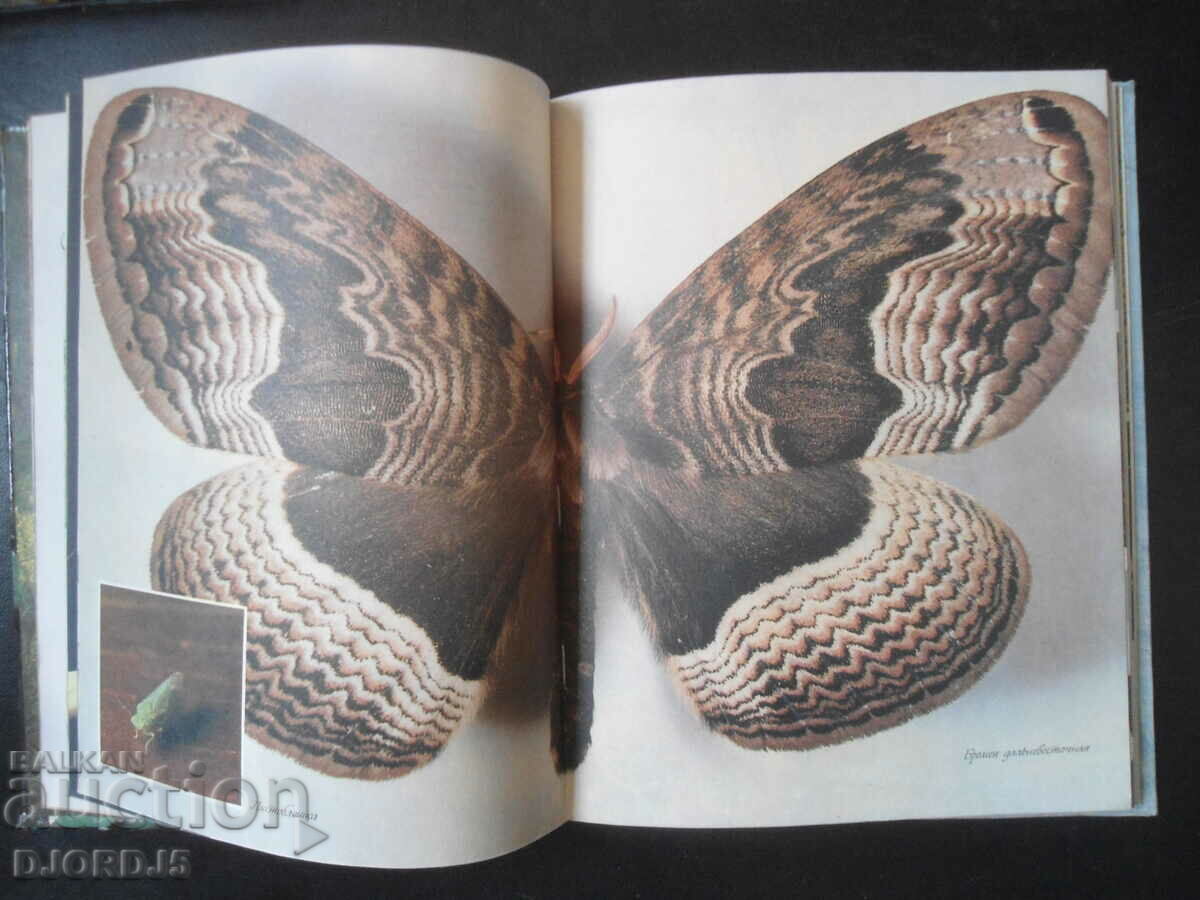 Delivery of About nature for big and small Delivery of About nature for big and small