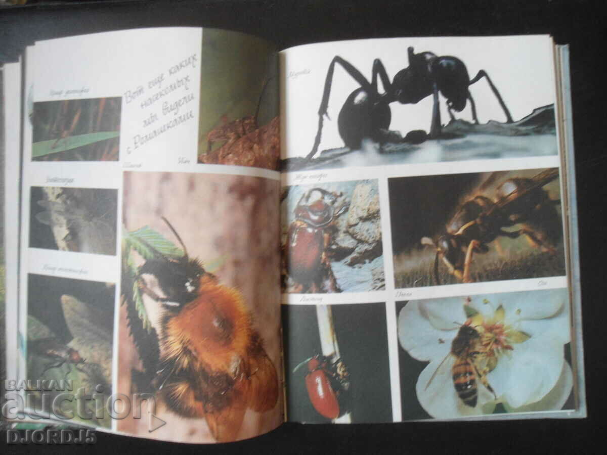 About nature for big and small - 5 About nature for big and small - 5